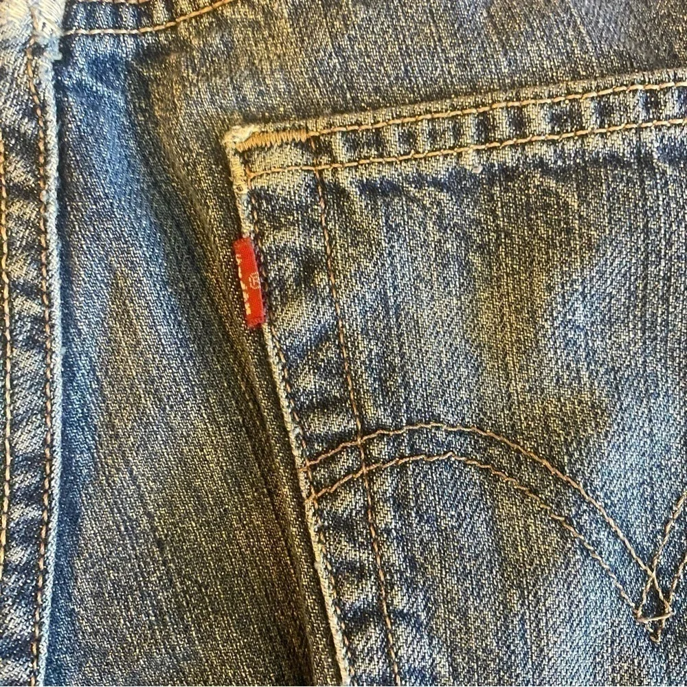 Levis levis 517